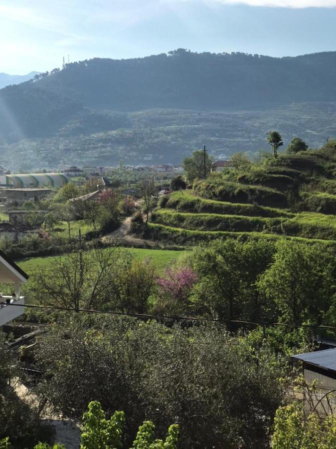 Villa Rexho Berat Dış mekan fotoğraf