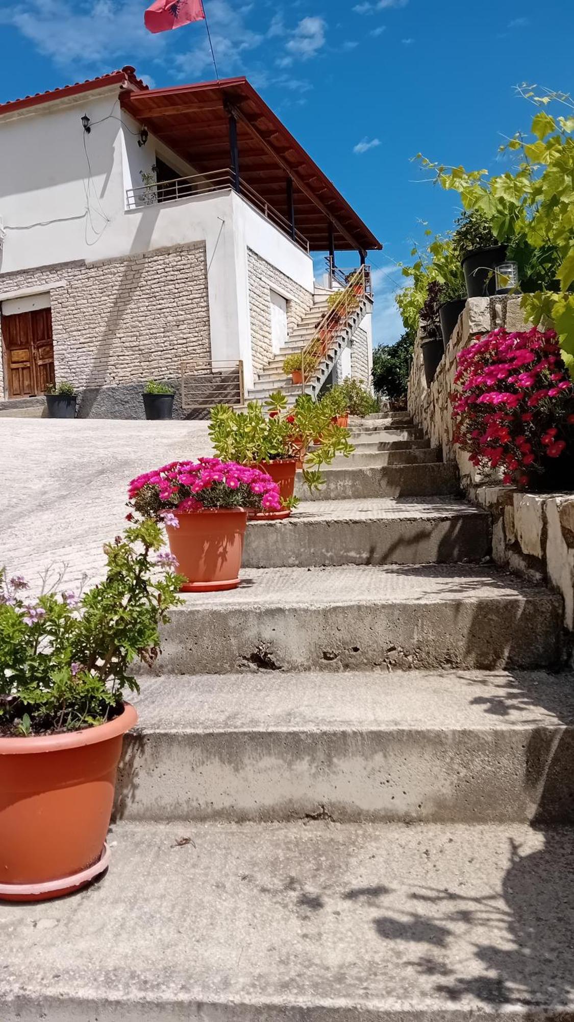 Villa Rexho Berat Dış mekan fotoğraf